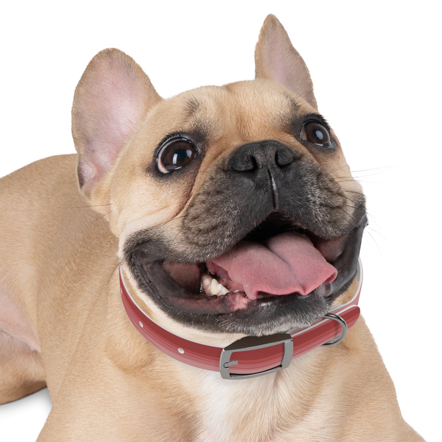 Power Red Wavey Small Dog Collar