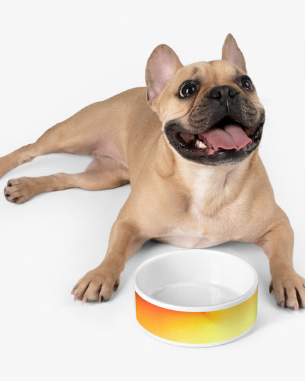 Phoenix Fade 16 oz Pet Bowl
