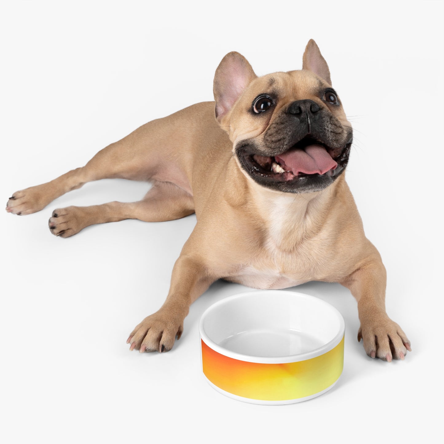 Phoenix Fade 16 oz Pet Bowl