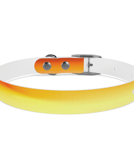 Phoenix Fade Small Dog Collar