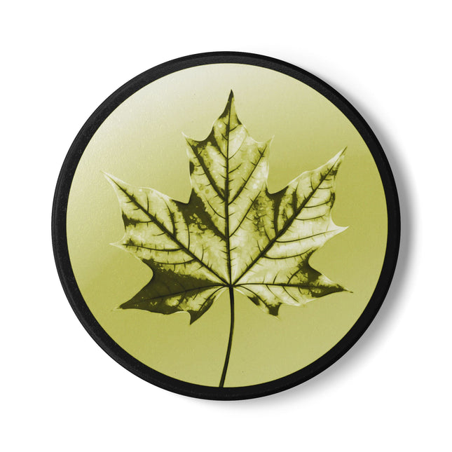 Lemongrass Maple Leaf 4" x 4" Round Ceramic Coaster