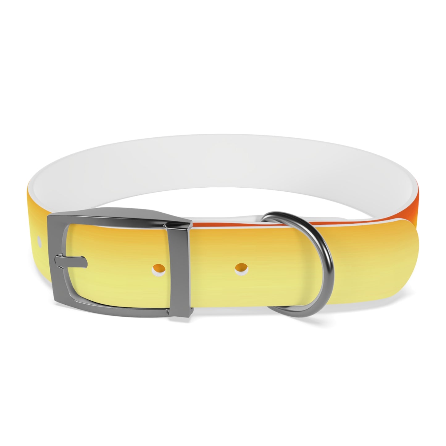 Phoenix Fade Medium Dog Collar