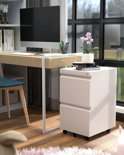 Metal 2-drawer File Cabinet, Lock, Rolling, Legal/letter Size, White, Pre-assembled (5 Casters)