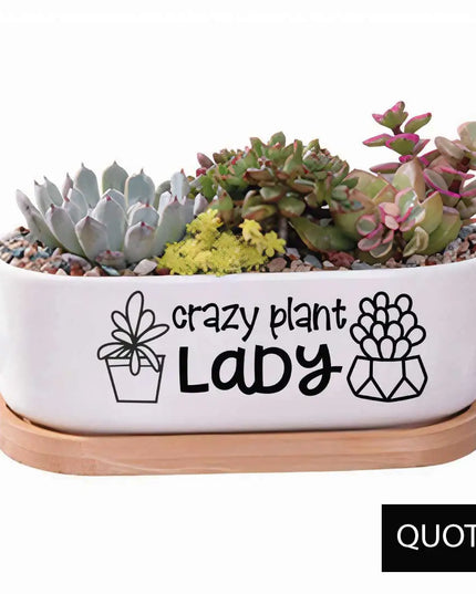 Message in a Planter - Oval 7" Crazy Plant Lady