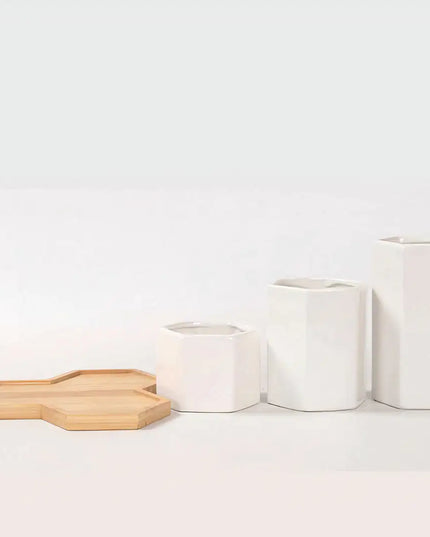 Jasmin Ceramic Pot Planter