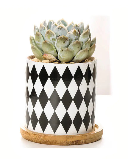 B&W Planters Set of 3