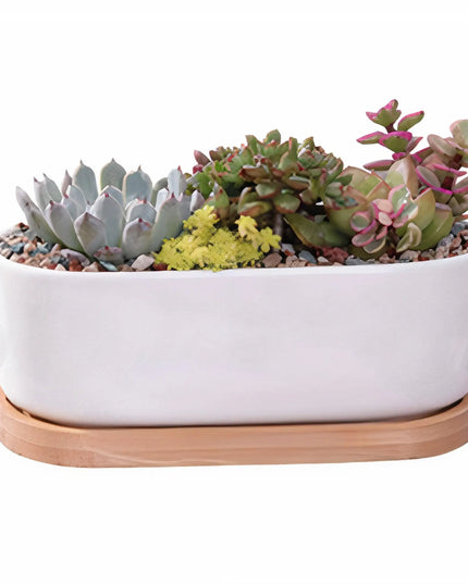 Succulent Planter -Elongated