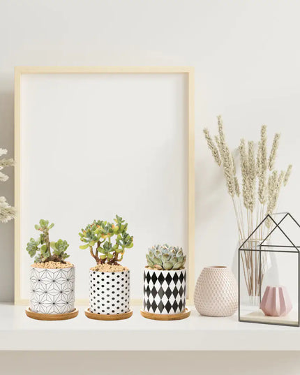 B&W Planters Set of 3