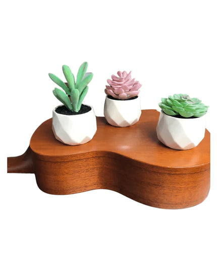 Set Of Our "Sonoran Desert" Decorative Succulent Plants In Ceramic Pot - 3 Pieces