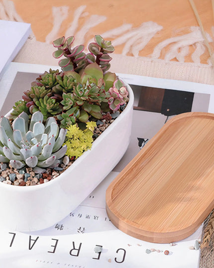 Succulent Planter -Elongated