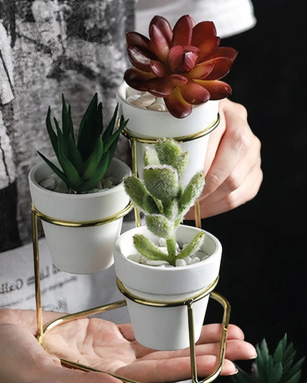 3 in 1 Planter