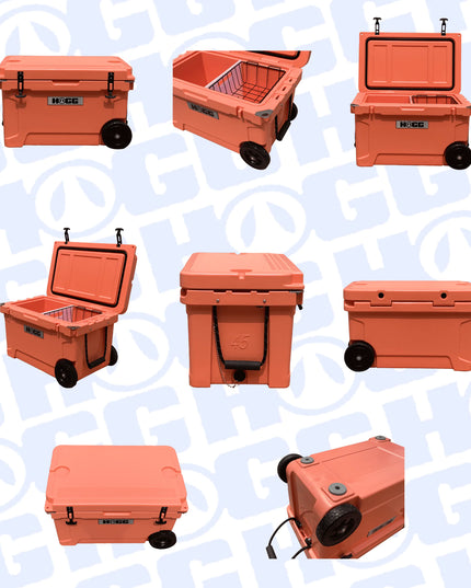 45QT HOGG COOLERS - PASTEL COLLECTION