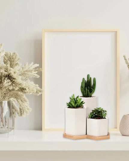 Jasmin Ceramic Pot Planter