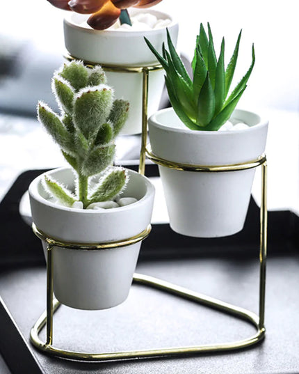3 in 1 Planter