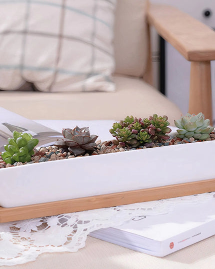 Message in a Planter - 7" Long