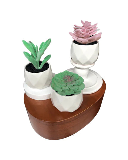 Set Of Our "Sonoran Desert" Decorative Succulent Plants In Ceramic Pot - 3 Pieces