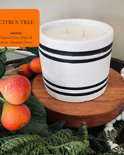 Luxury Small Striped Stone Designer Candle - Citrus Tree
