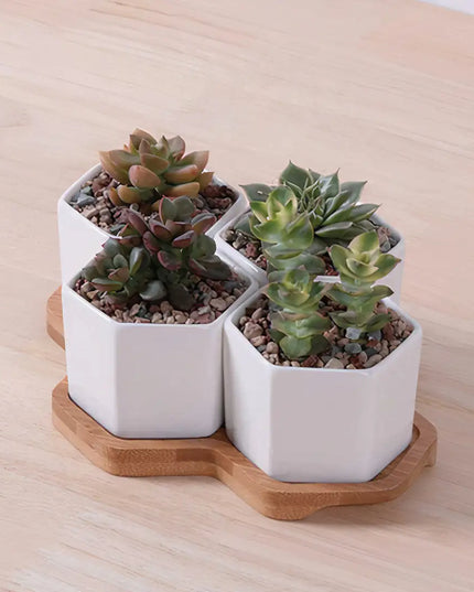 Beehive Planter