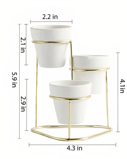 3 in 1 Planter