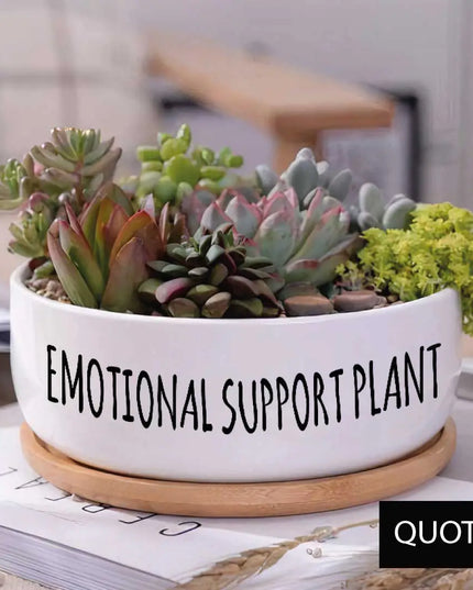 Message in a Planter - 6" Round