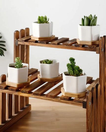 Succulent Small Planter Set of 3