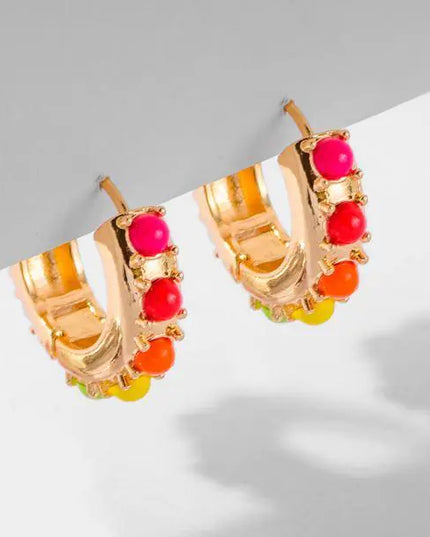 Ally Colors Earrings