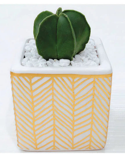 Rhapsody Planters Set of 2