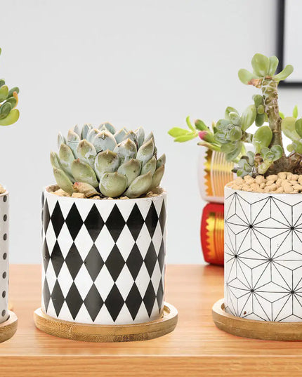 B&W Planters Set of 3