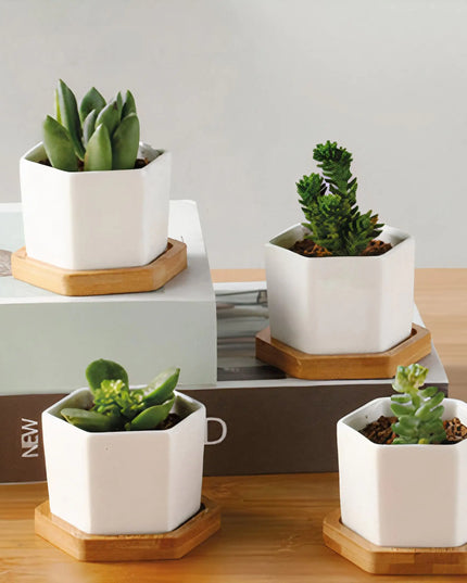 Message in a Planter - 4" Set of 3