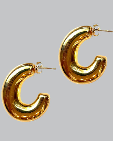 Elongated Tamara Earrings