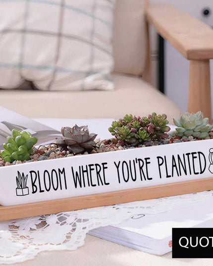 Message in a Planter - 7" Long