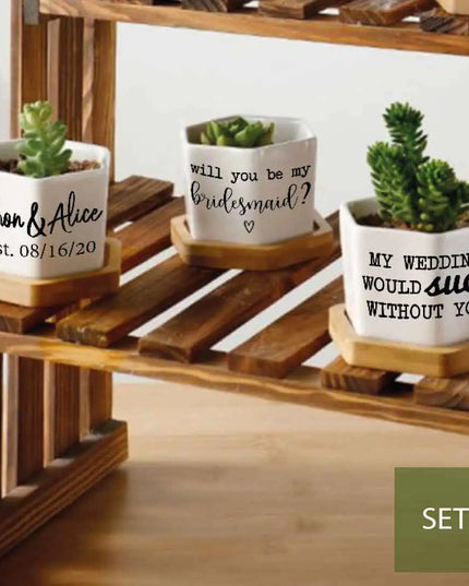 Message in a Planter - 4" Set of 3