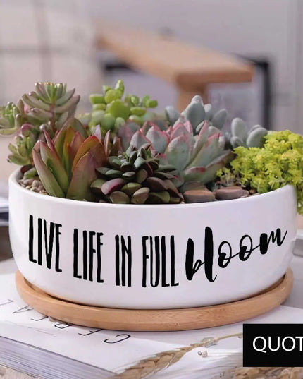 Message in a Planter - 6" Round