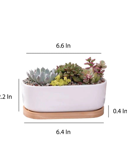 Succulent Planter -Elongated