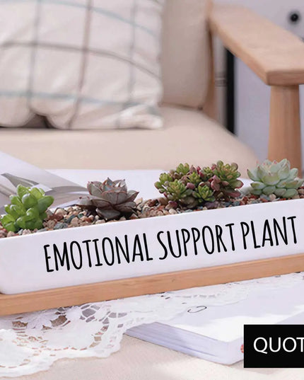 Message in a Planter - 7" Long