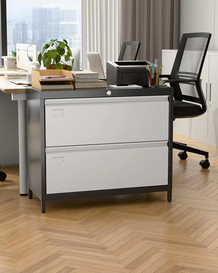 2-drawer Metal Lateral File Cabinet With Lock, Business Card Slot, Black/grey
