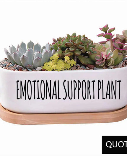 Message in a Planter - Oval 7" Emotional Support Plant