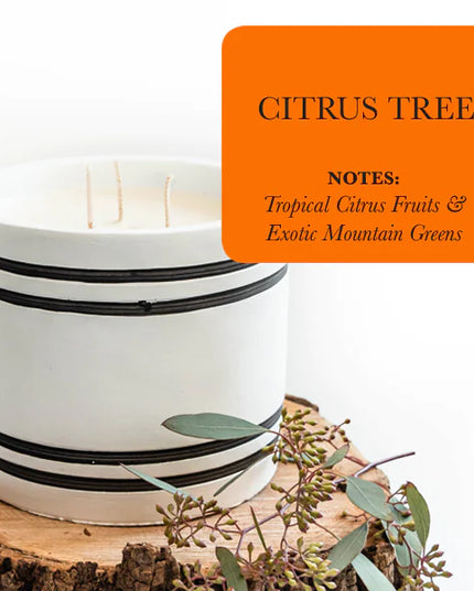 Luxury Large Striped Stone Designer Candle - Citrus Tree