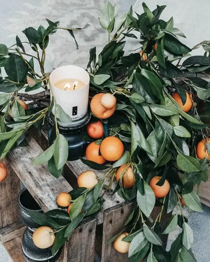 Citrus Tree - Orange Citrus Soy Candle